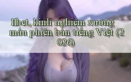 11bet, kinh nghiệm xương máu phiên bản tiếng Việt (2026)