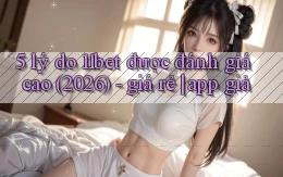 5 lý do 11bet được đánh giá cao (2026)   giá rẻ app giả