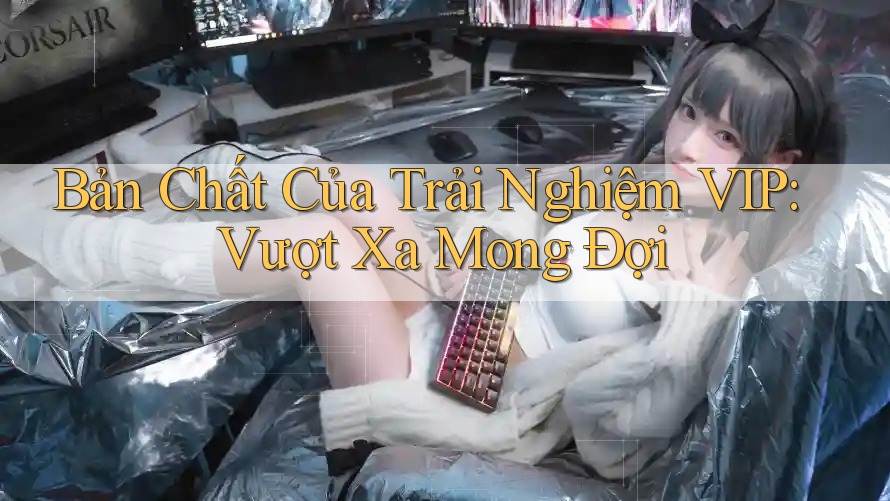 Bản Chất Của Trải Nghiệm VIP: Vượt Xa Mong Đợi Bản Chất Của Trải Nghiệm VIP: Vượt Xa Mong Đợi
