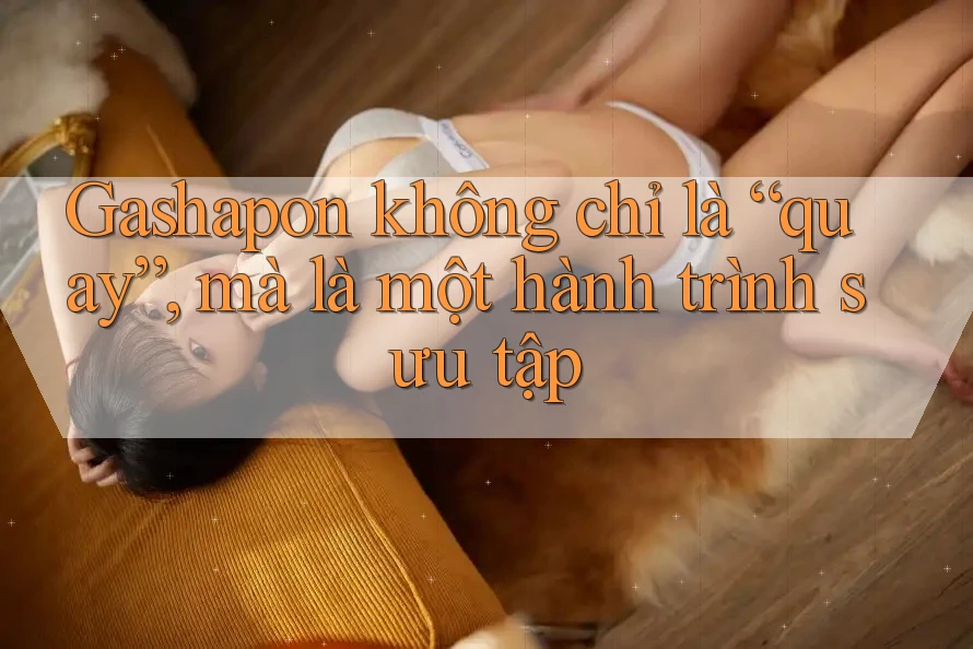 Gashapon không chỉ là “quay”, mà là một hành trình sưu tập Gashapon không chỉ là “quay”, mà là một hành trình sưu tập