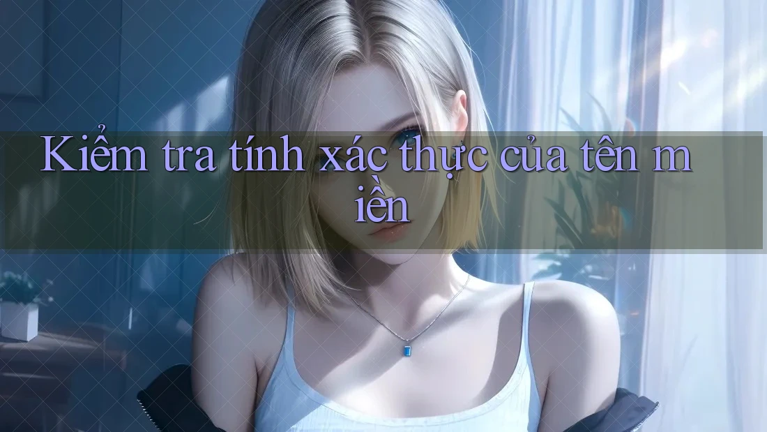 Kiểm tra tính xác thực của tên miền Kiểm tra tính xác thực của tên miền