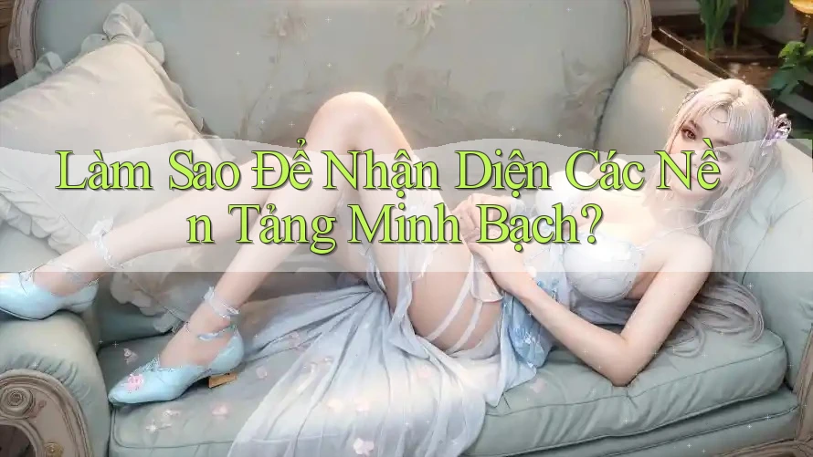 Làm Sao Để Nhận Diện Các Nền Tảng Minh Bạch? Làm Sao Để Nhận Diện Các Nền Tảng Minh Bạch?