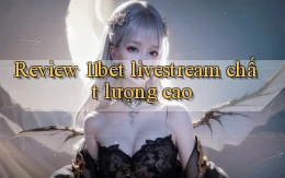 Review 11bet livestream chất lượng cao